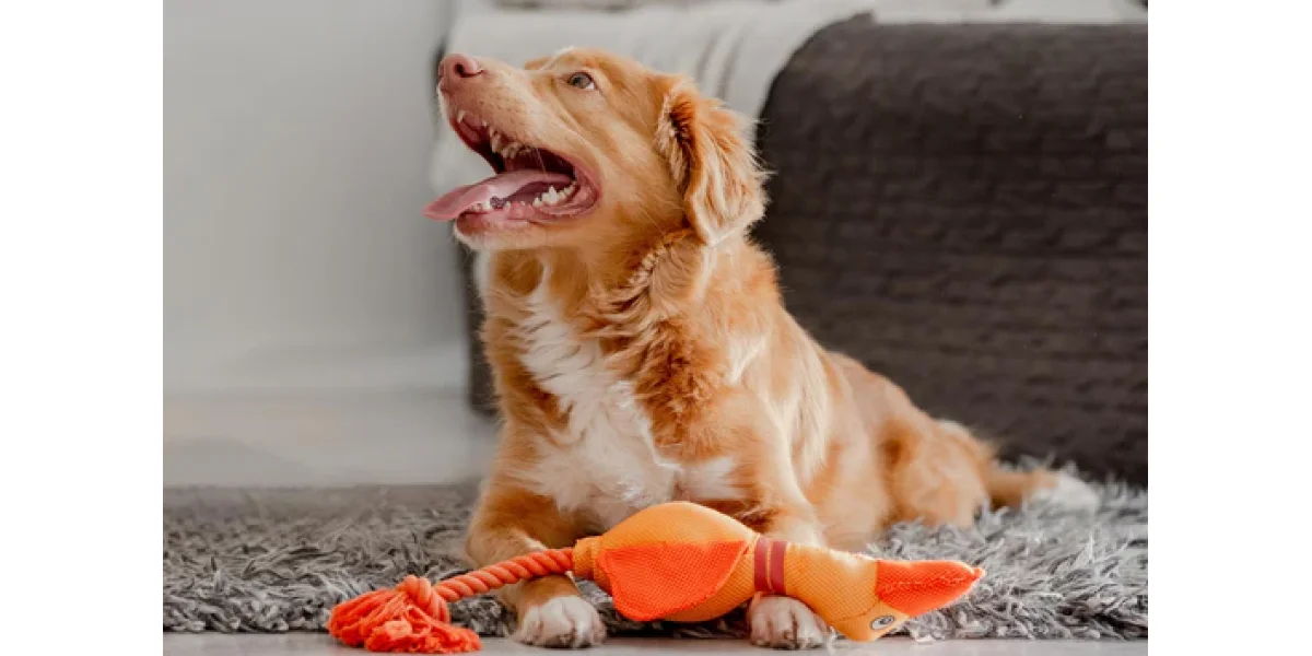 Ghid complet: Antiparazitare pentru caini si pisici