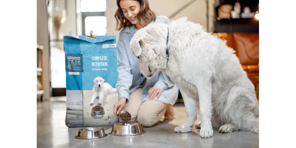 5 semne ca animalul tau de companie are nevoie de vizita la veterinar