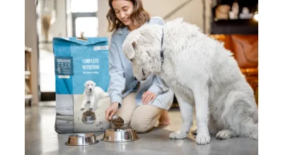 5 semne ca animalul tau de companie are nevoie de vizita la veterinar